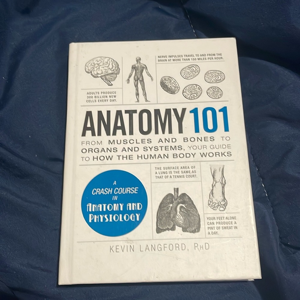 anatomy 101 book